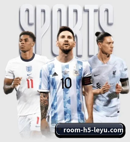 五大服务分区,信息按项目分类（leyu）